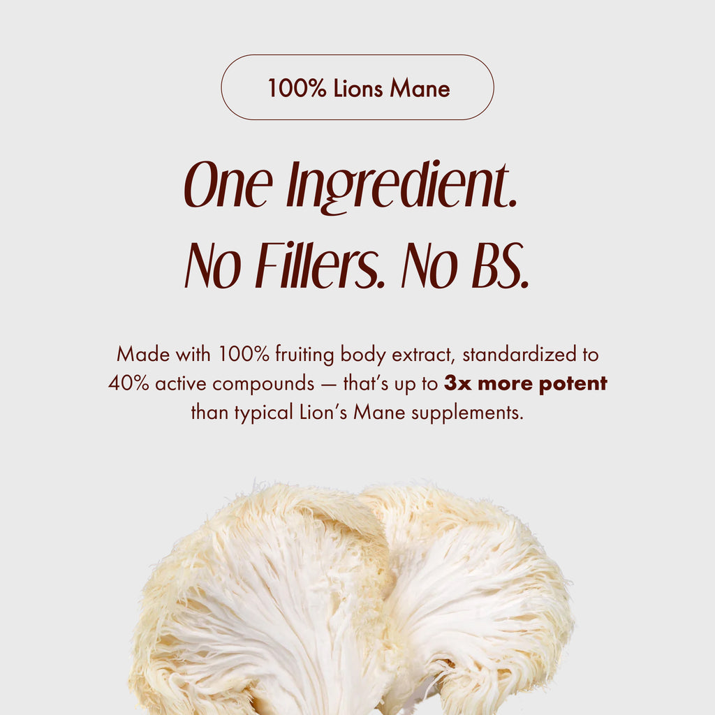 Lion's Mane Mushroom - Liora Bio
