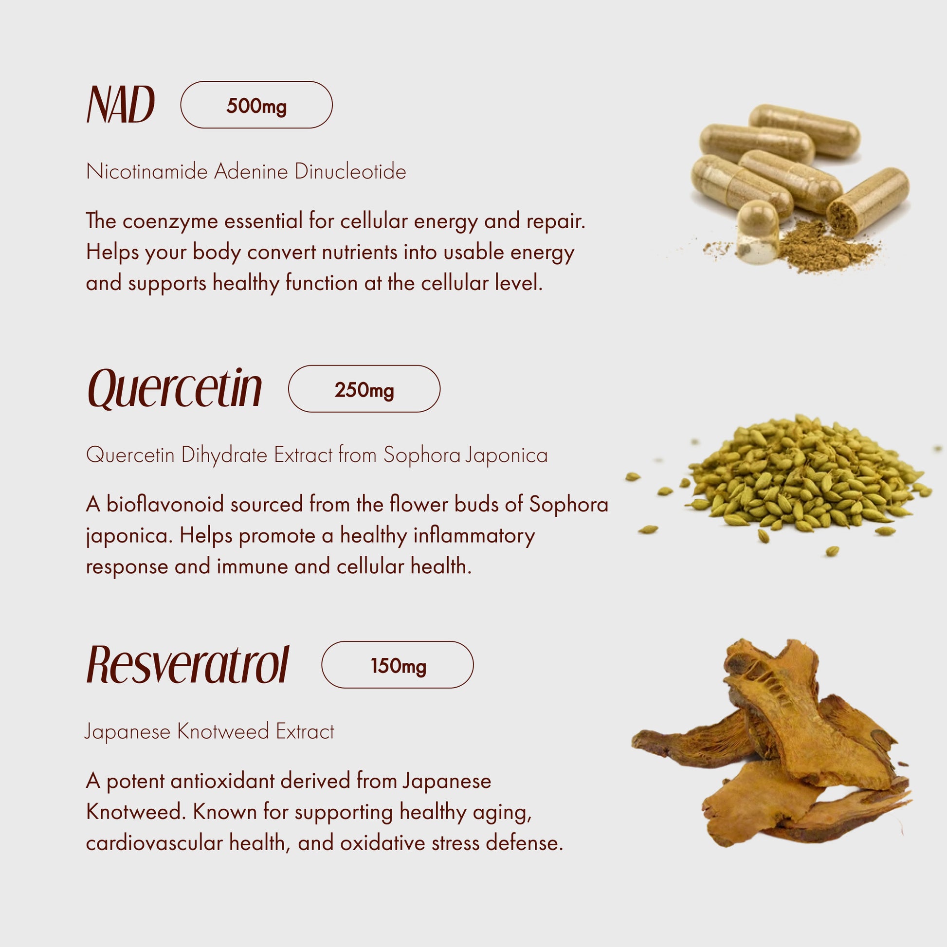 NAD+ Supplement