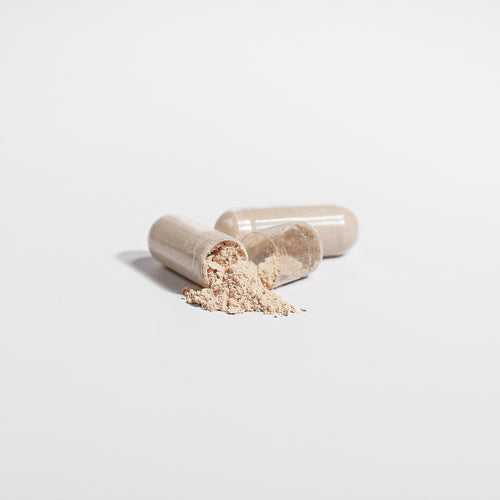 Lion's Mane Mushroom - Liora Bio
